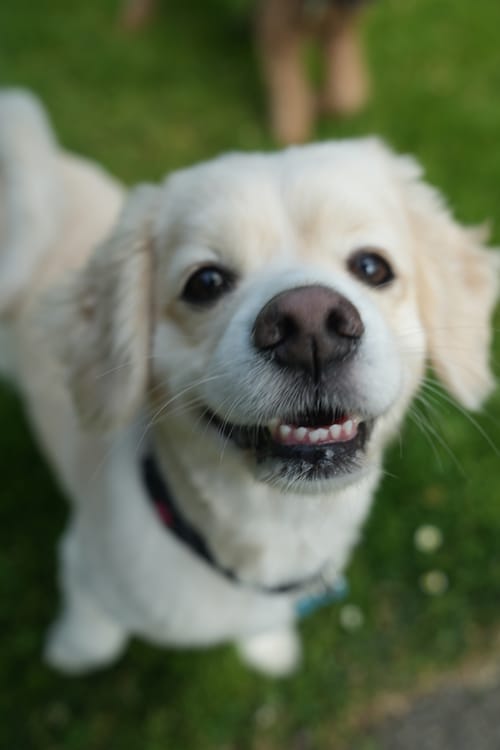 photo taken may 26, 2025 on sony a7iv