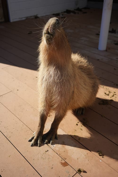 photo taken december 15, 2025 on sony a7cii