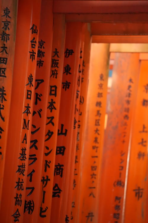 photo taken december 28, 2025 on sony a7cii