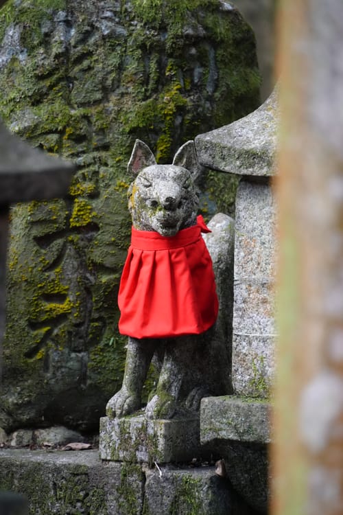 photo taken december 28, 2025 on sony a7cii