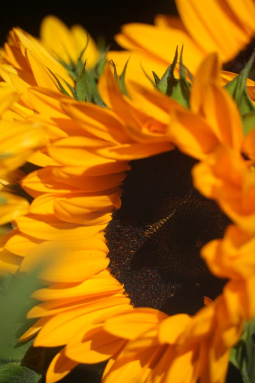 photo taken june 7, 2026 on sony a7cii