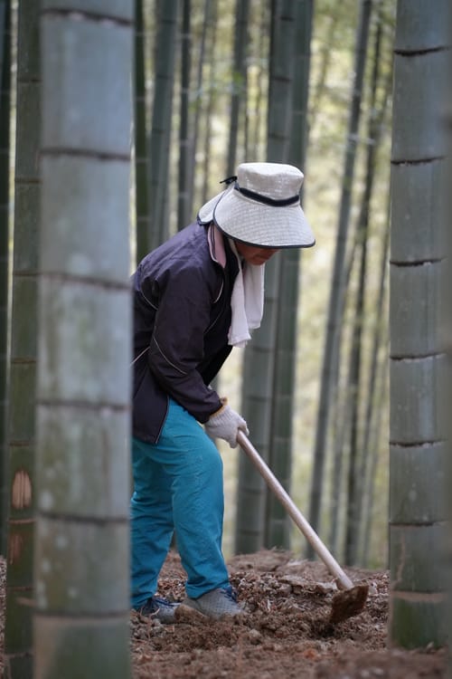 photo taken december 28, 2025 on sony a7cii