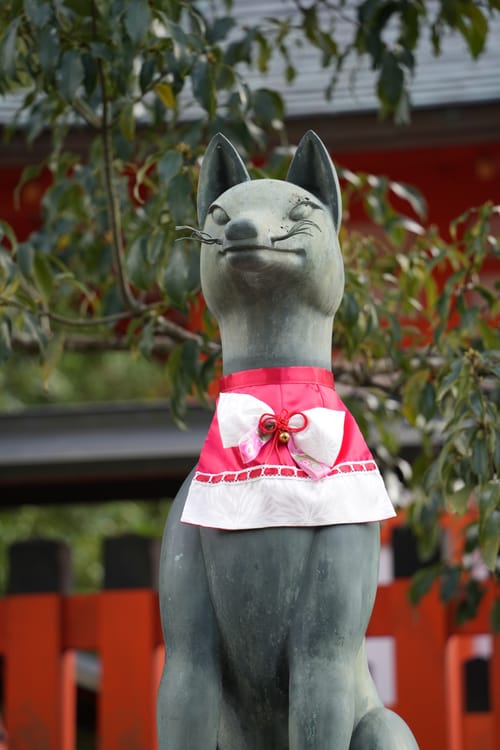 photo taken december 28, 2025 on sony a7cii