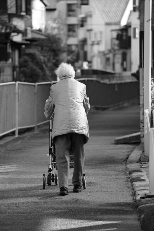 photo taken december 29, 2025 on sony a7cii