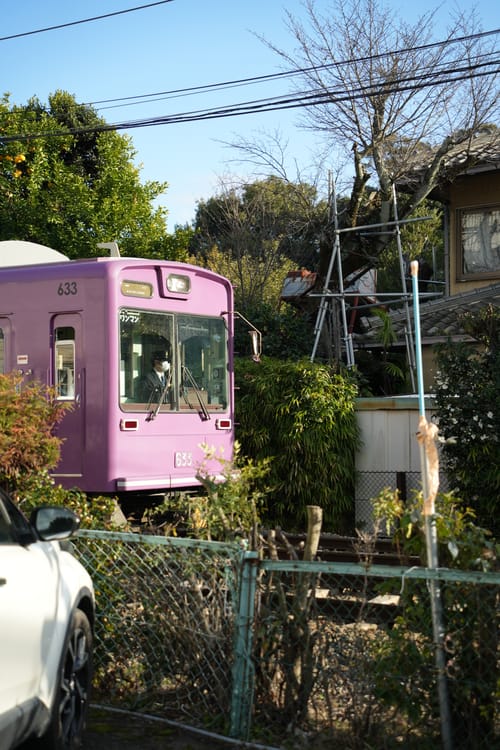 photo taken december 29, 2025 on sony a7cii