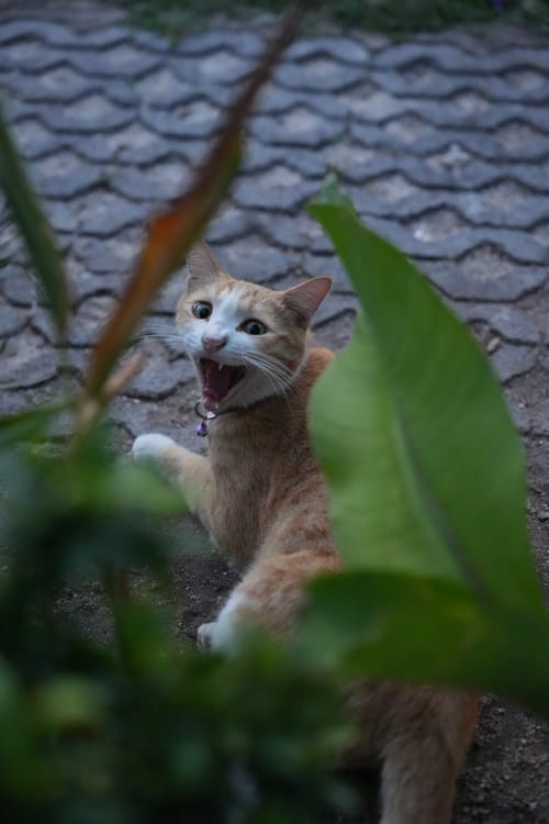 photo taken september 22, 2025 on sony a7iv