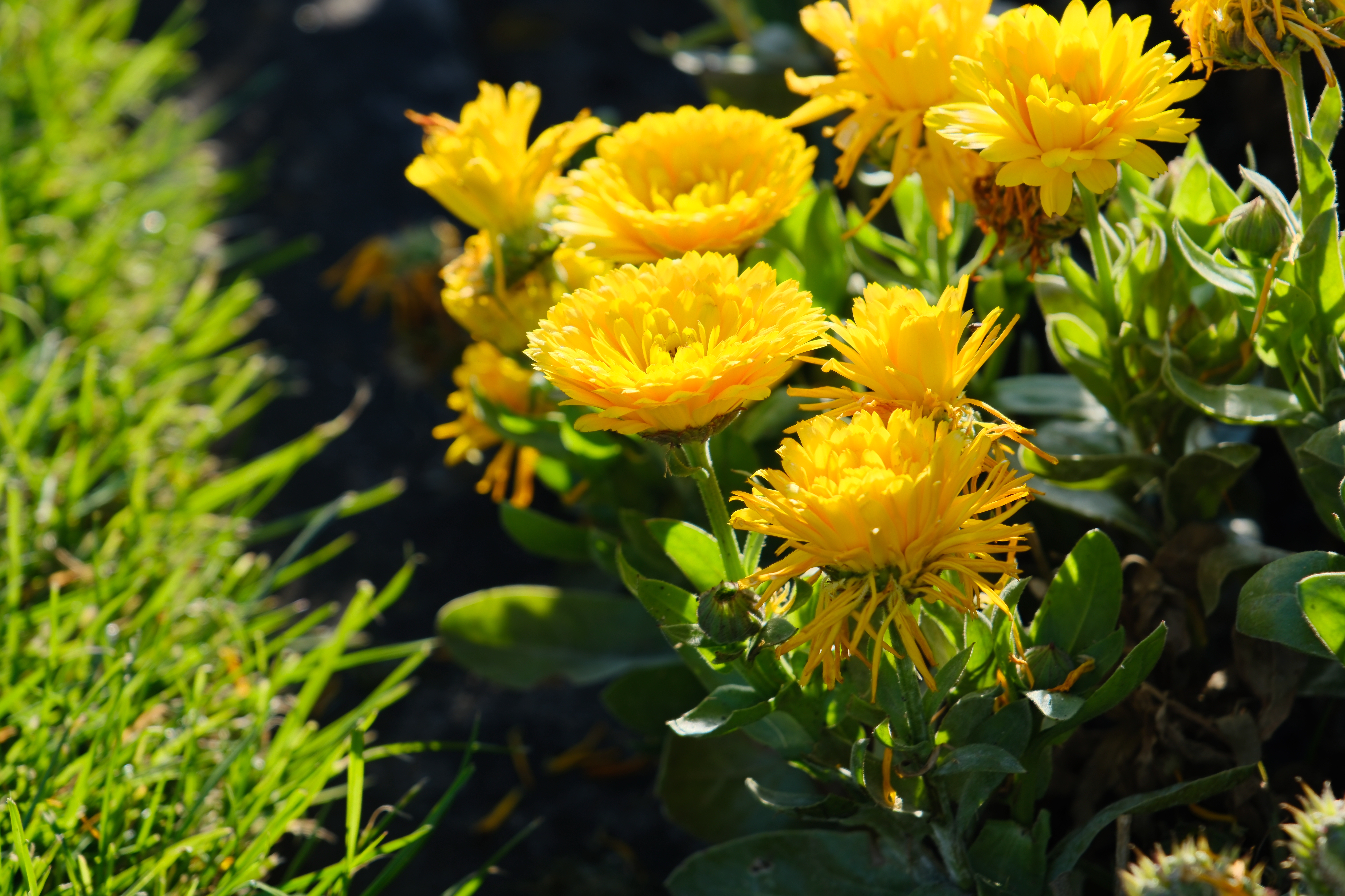 photo taken may 30, 2024 on fujifilm x-t5