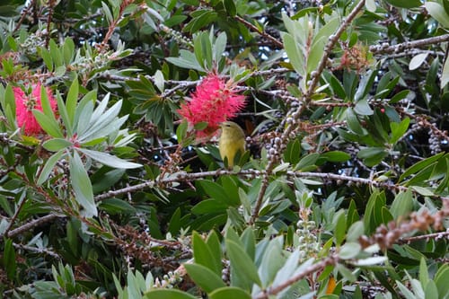 photo taken november 2, 2024 on fujifilm x-t5