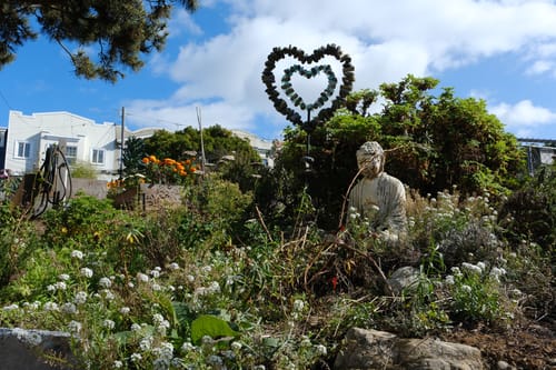 photo taken november 2, 2024 on fujifilm x-t5