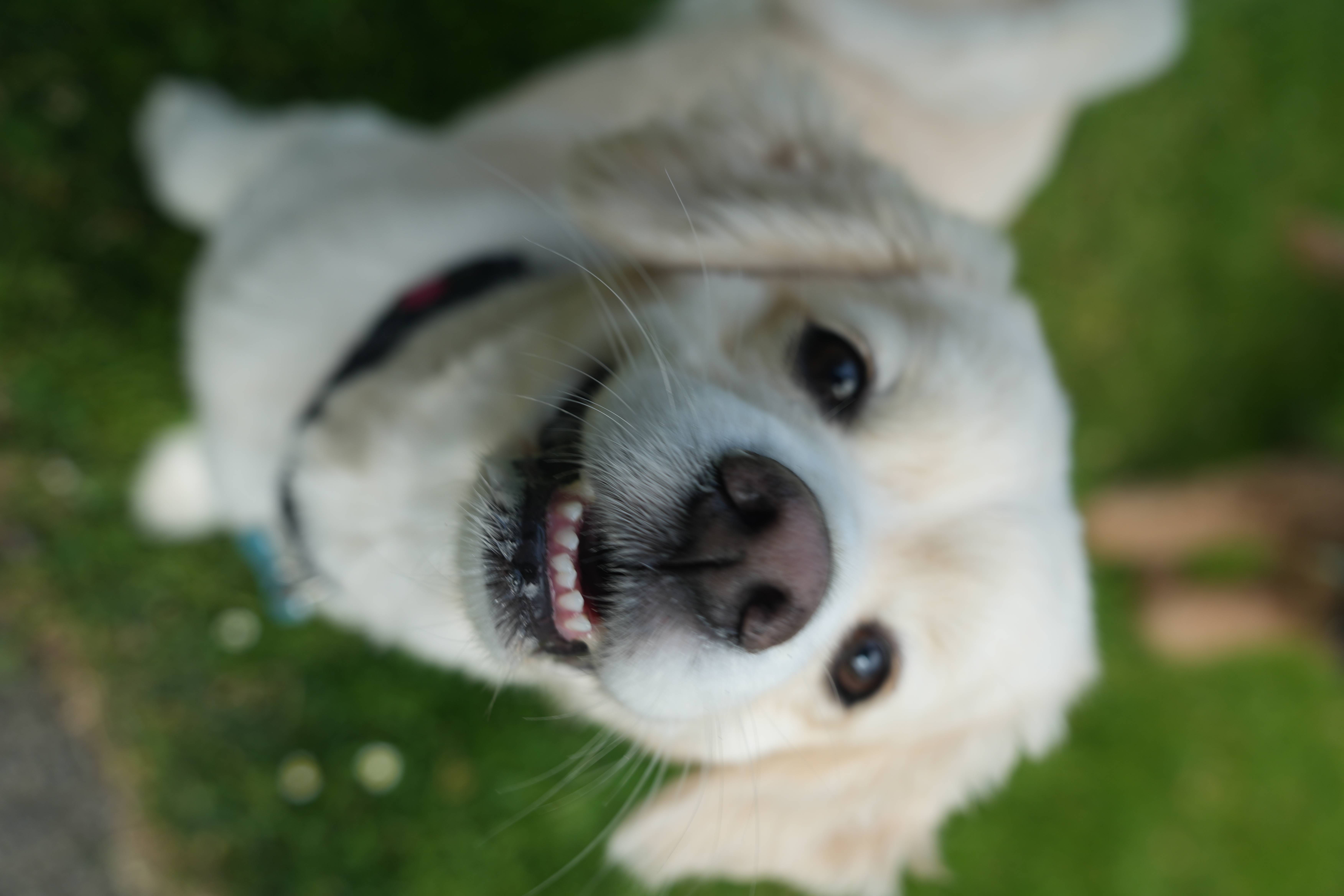 photo taken may 26, 2025 on sony a7iv