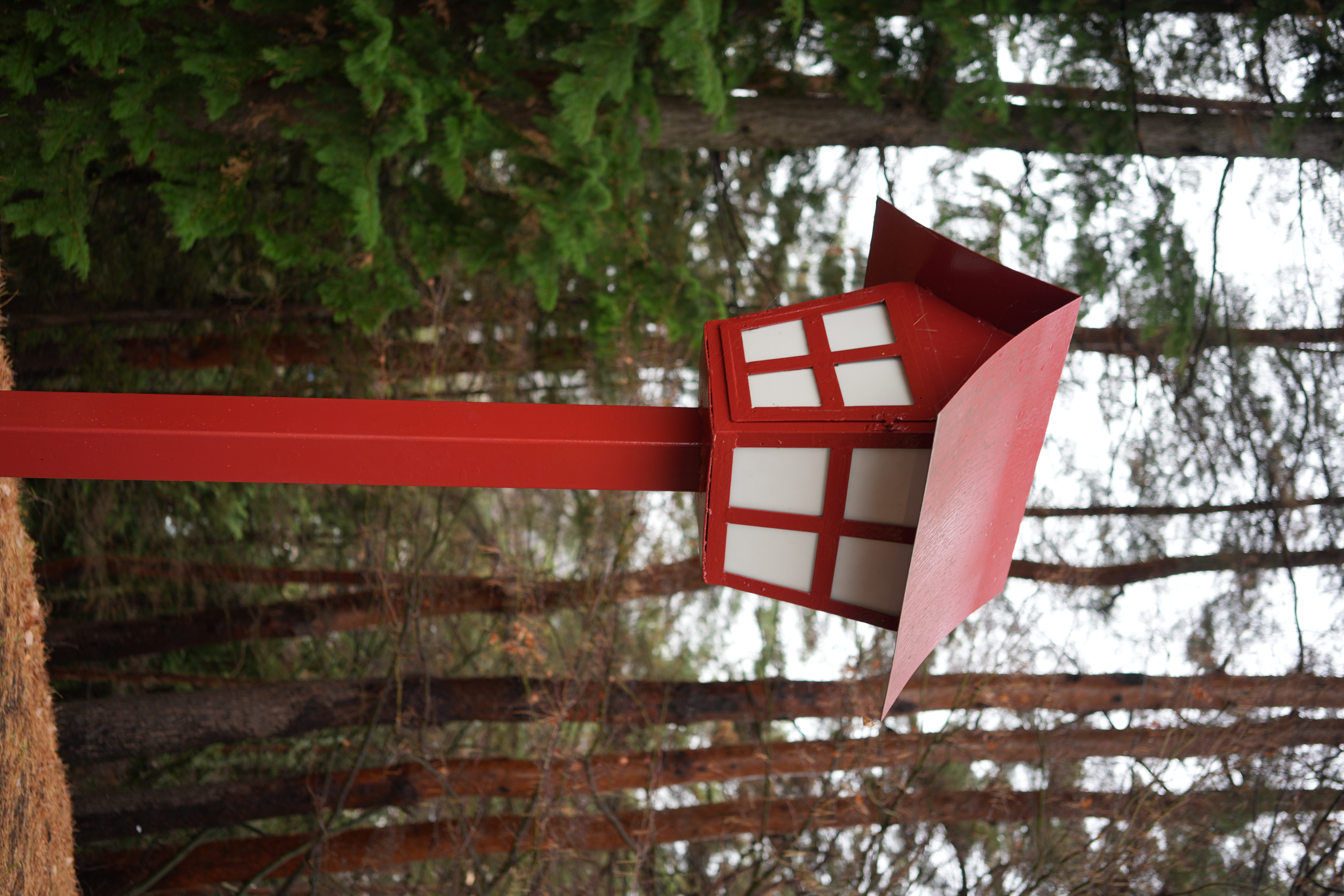 photo taken december 14, 2025 on sony a7cii