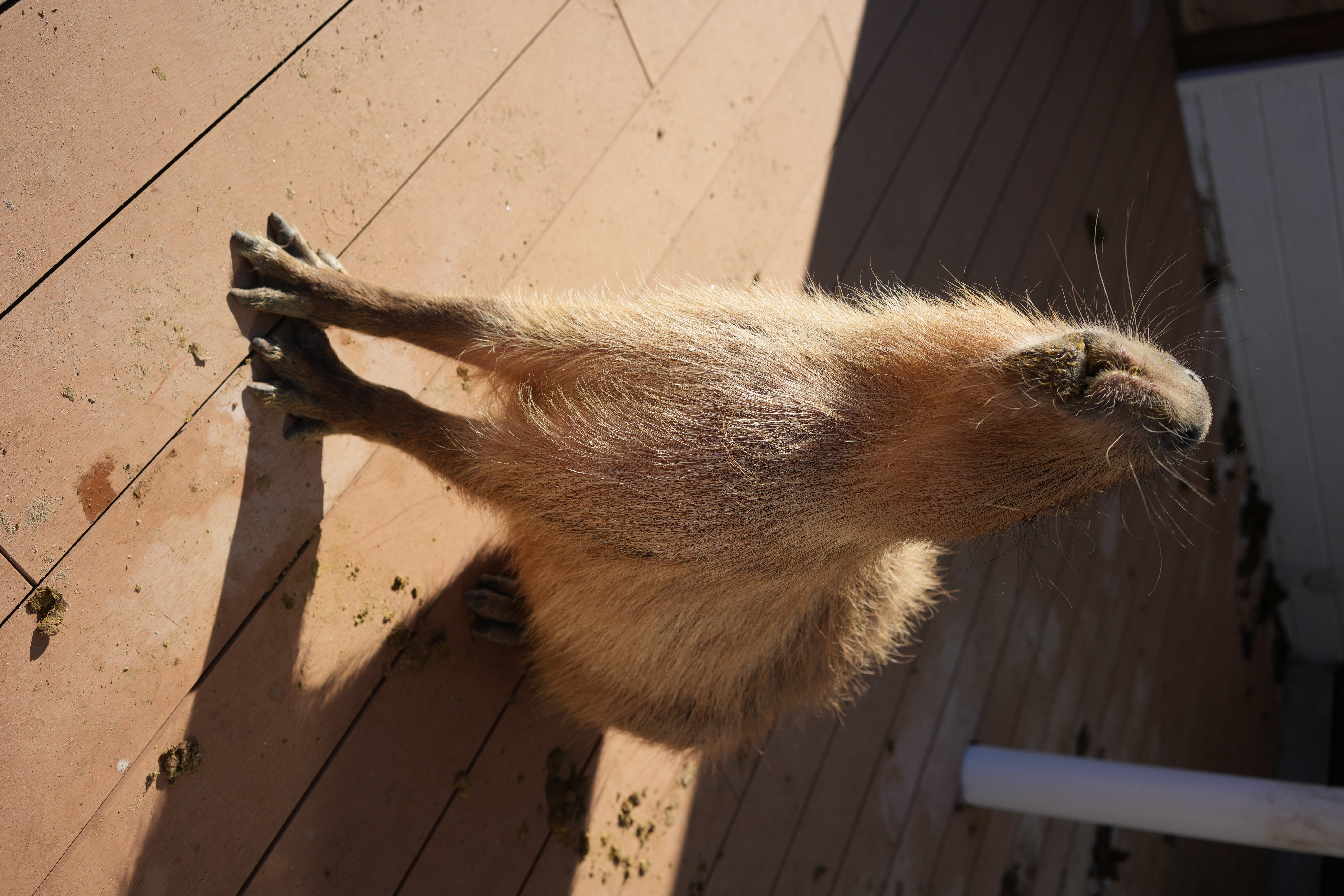 photo taken december 15, 2025 on sony a7cii