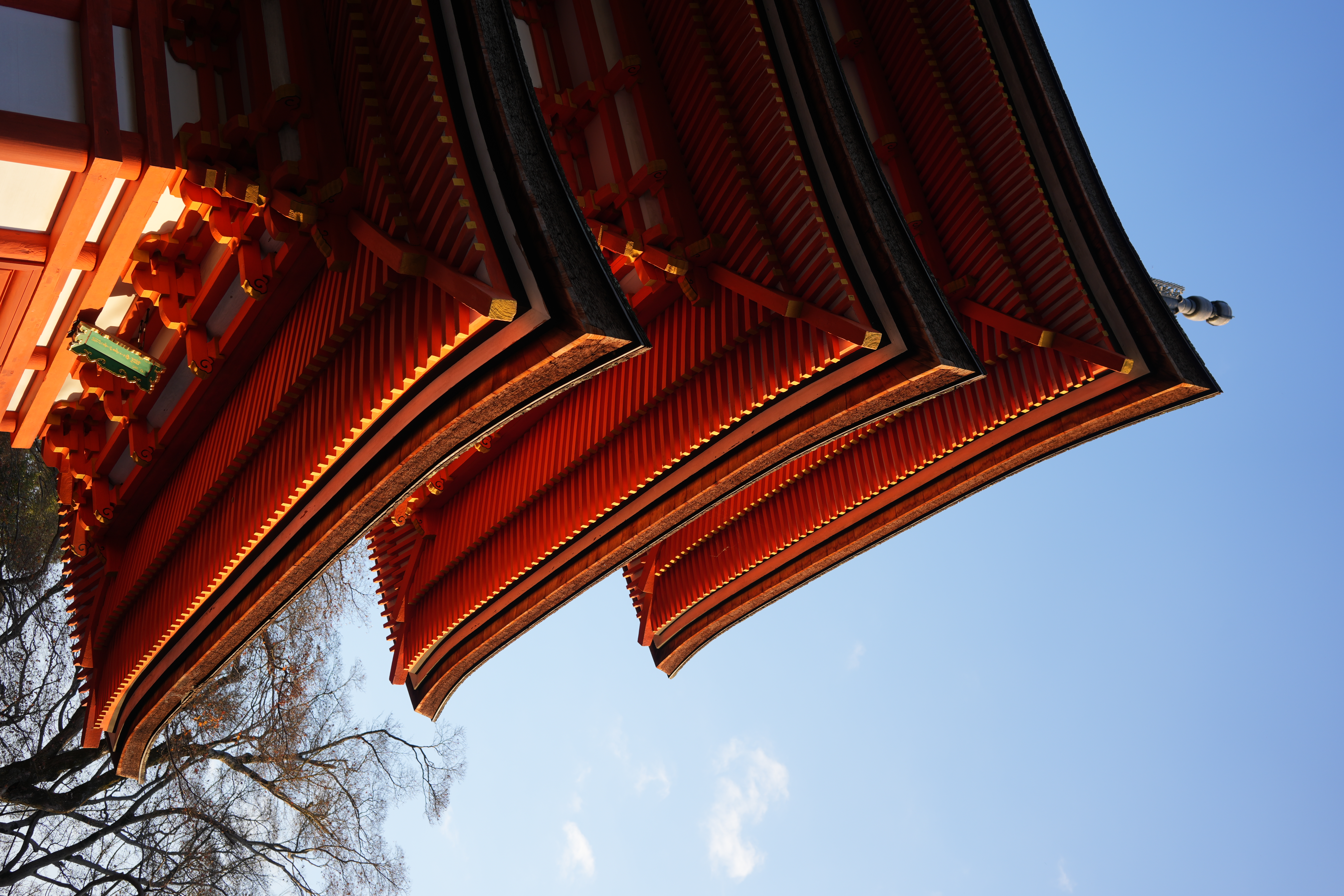 photo taken december 16, 2025 on sony a7cii