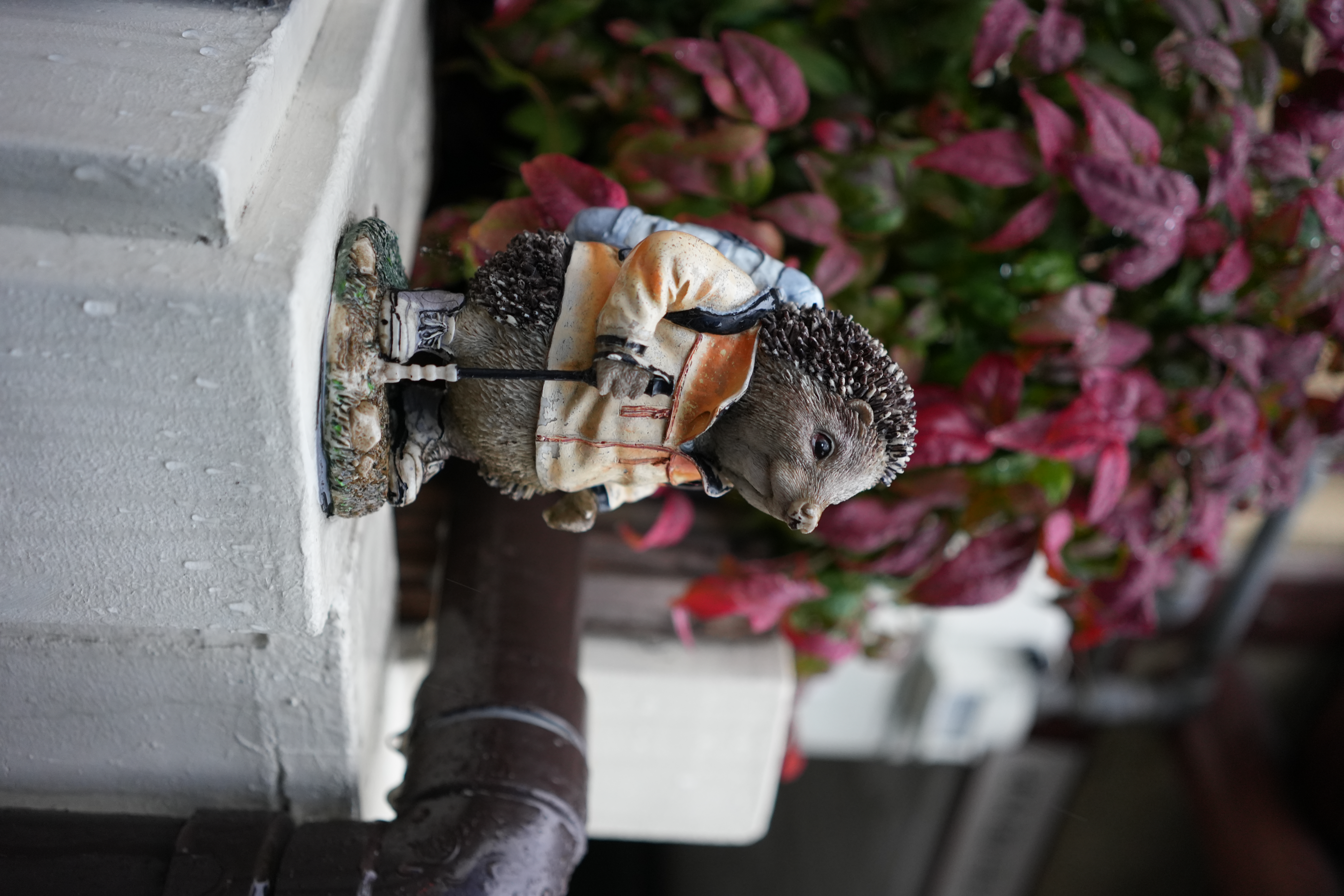 photo taken december 17, 2025 on sony a7cii