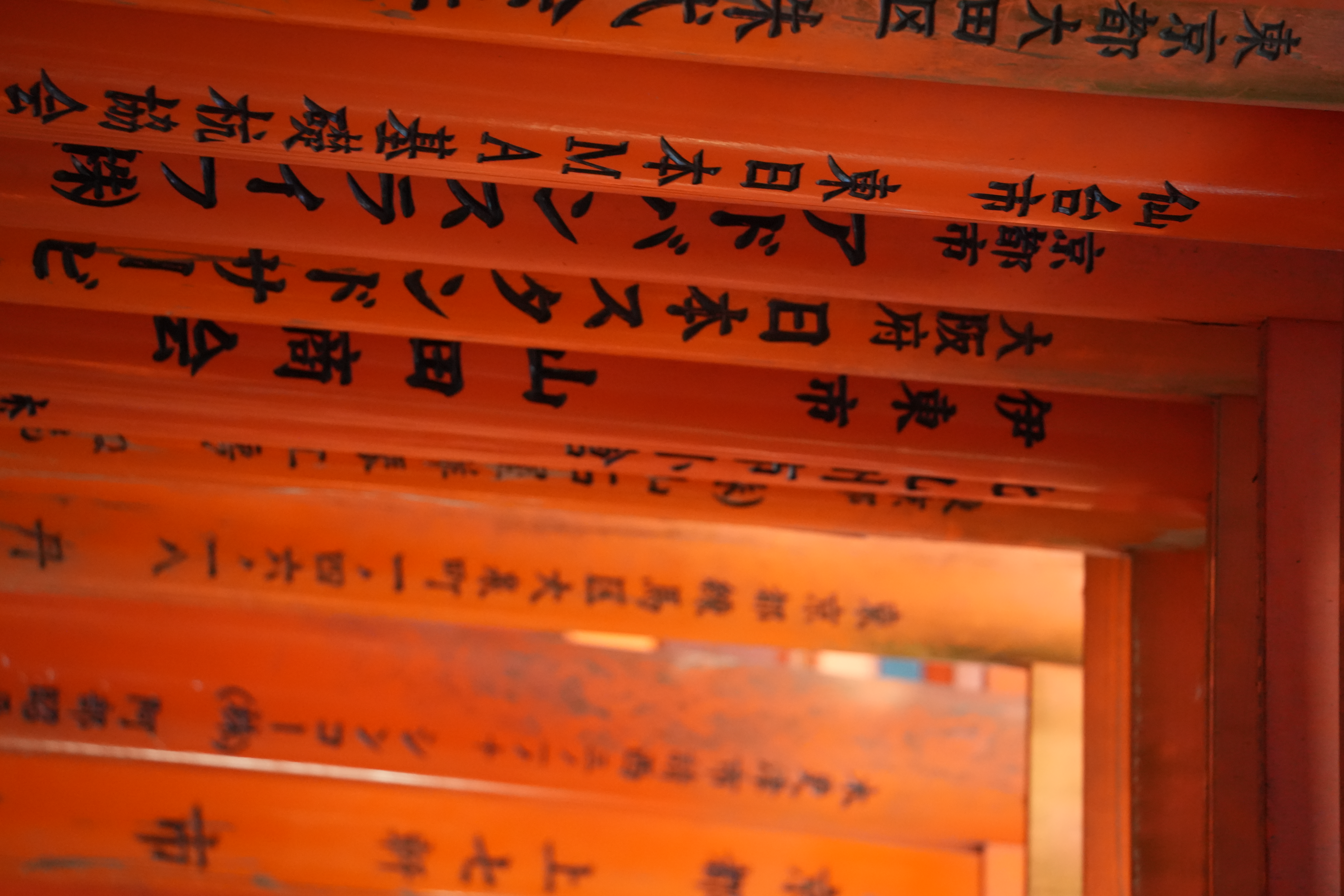 photo taken december 28, 2025 on sony a7cii