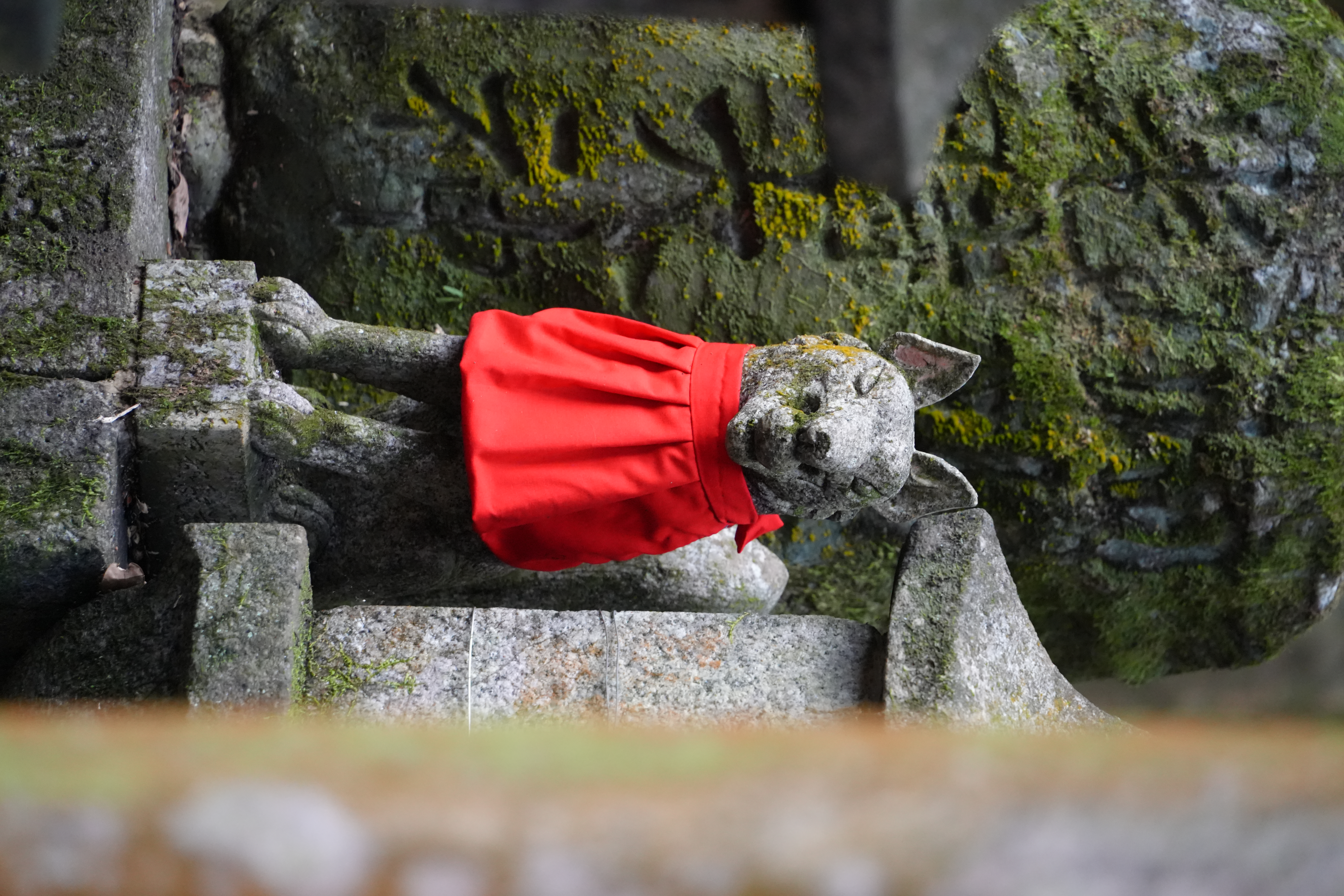 photo taken december 28, 2025 on sony a7cii