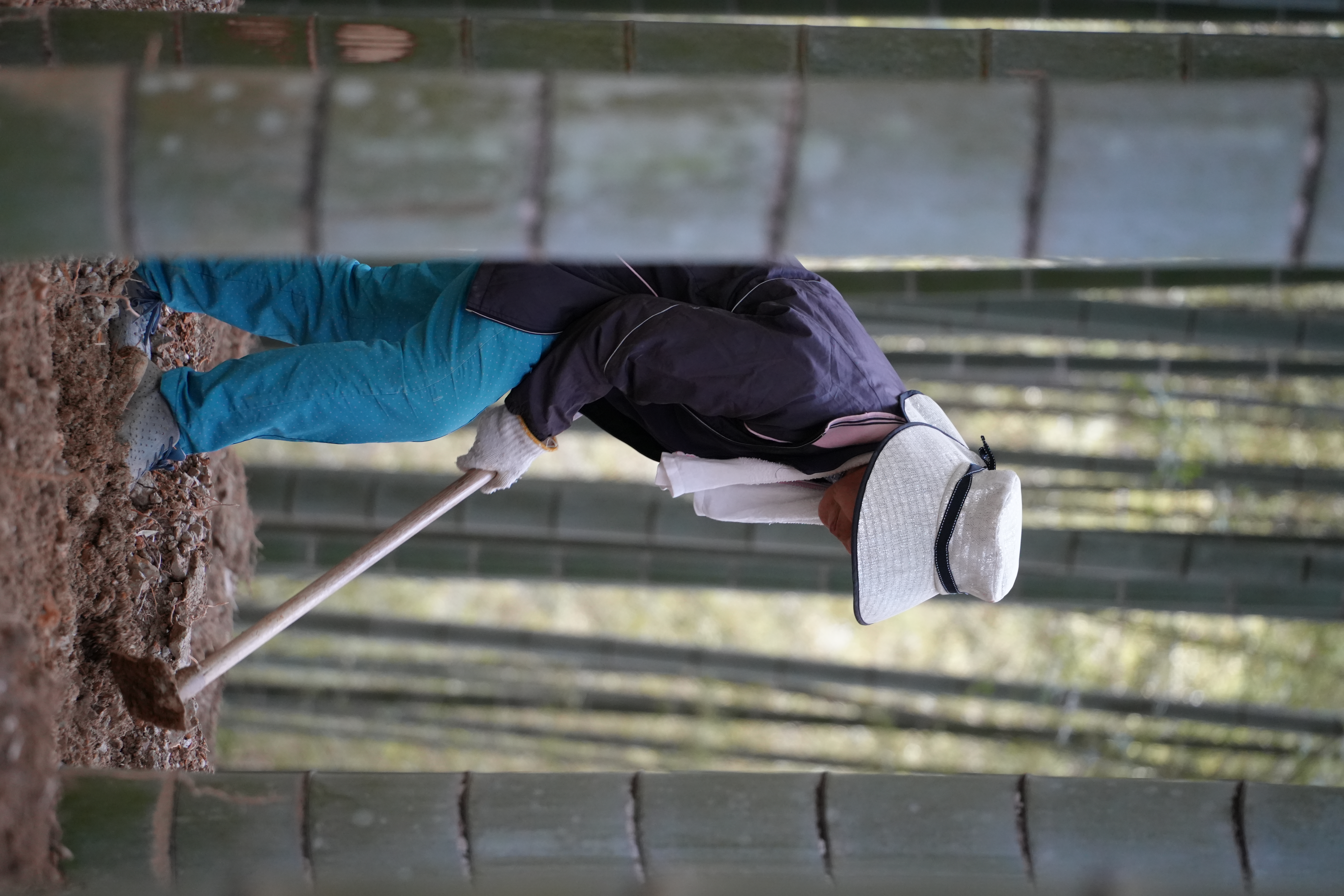 photo taken december 28, 2025 on sony a7cii