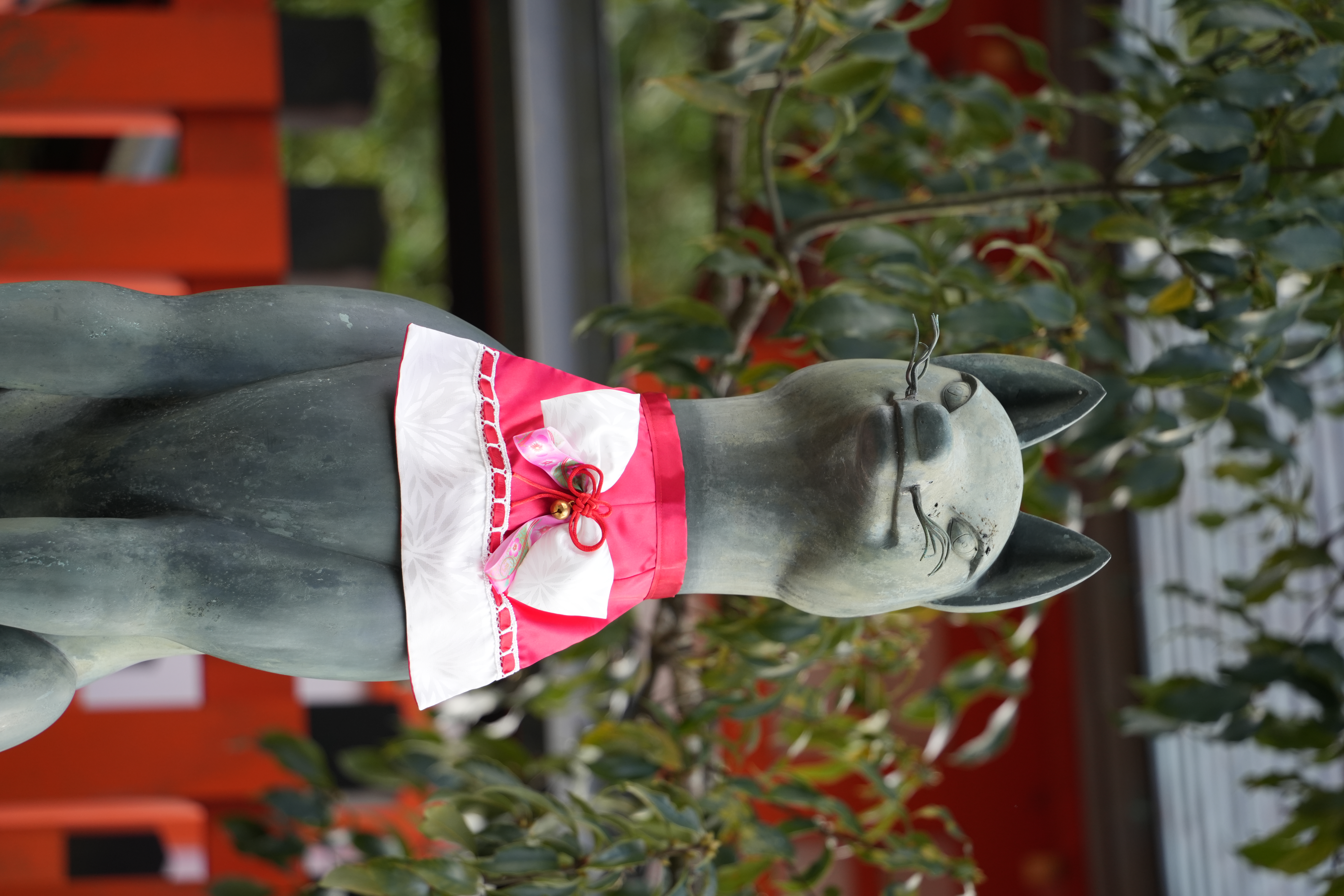 photo taken december 28, 2025 on sony a7cii