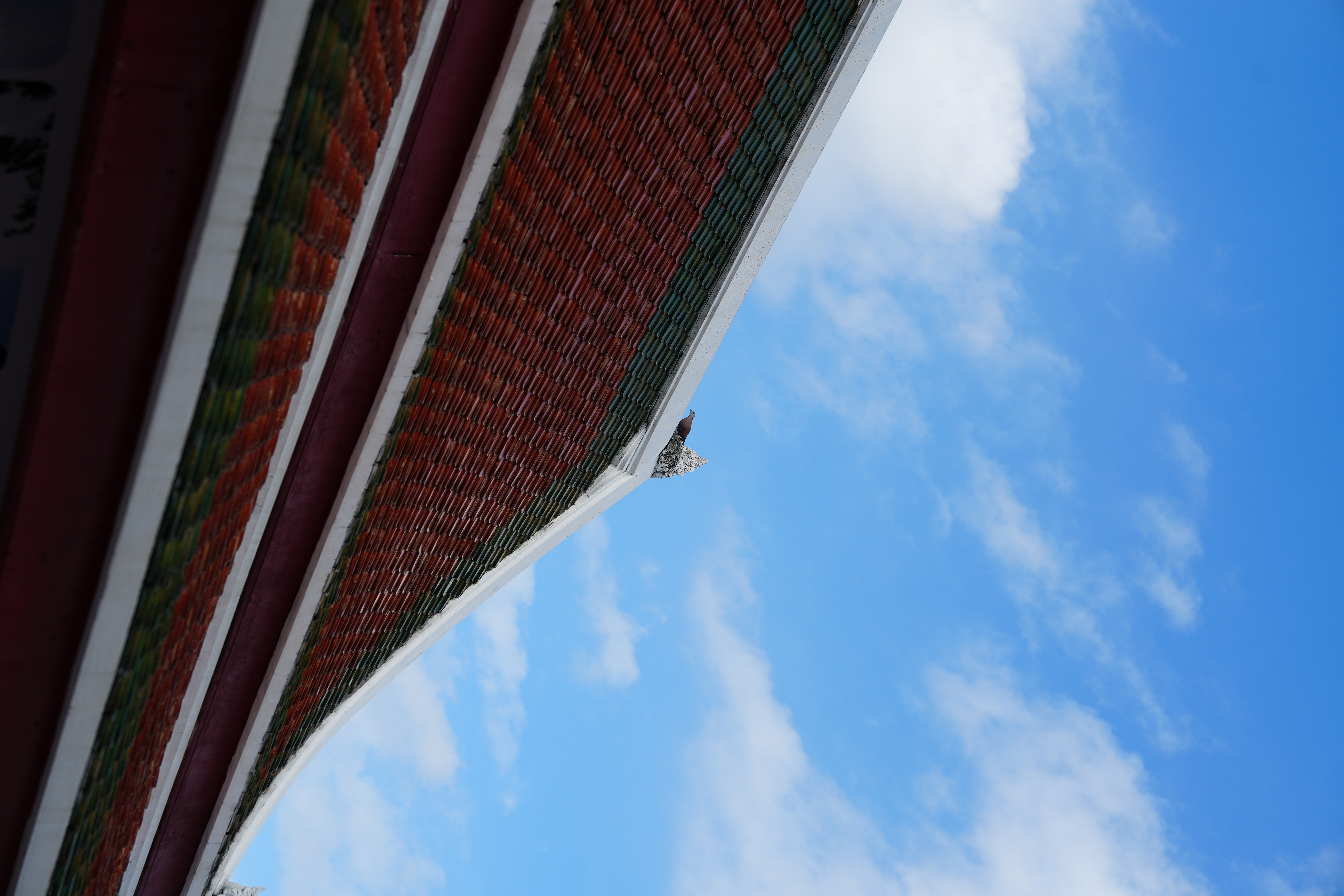 photo taken september 21, 2025 on sony a7iv