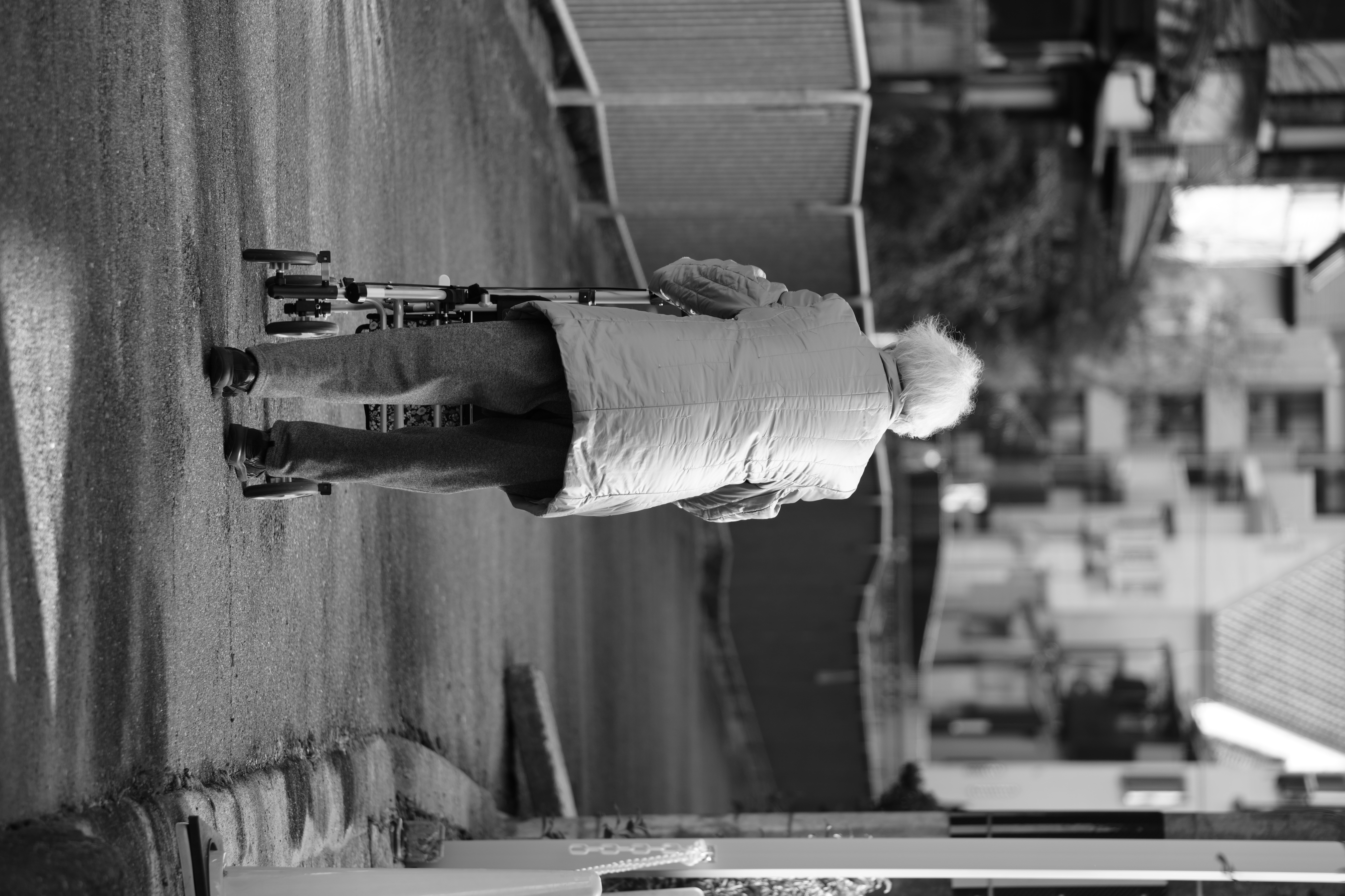 photo taken december 29, 2025 on sony a7cii